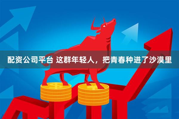 配资公司平台 这群年轻人，把青春种进了沙漠里
