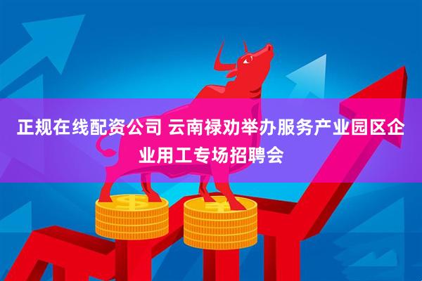 正规在线配资公司 云南禄劝举办服务产业园区企业用工专场招聘会