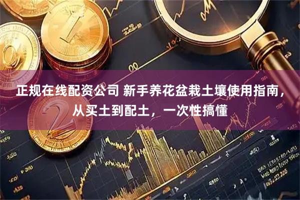 正规在线配资公司 新手养花盆栽土壤使用指南，从买土到配土，一次性搞懂