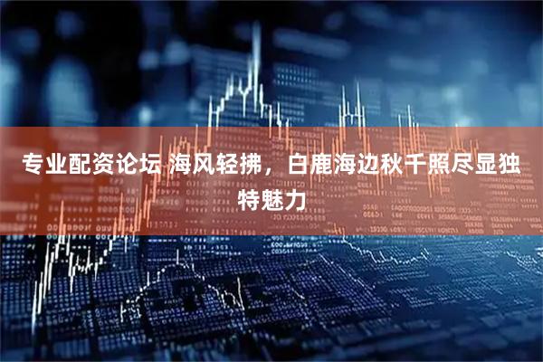 专业配资论坛 海风轻拂，白鹿海边秋千照尽显独特魅力